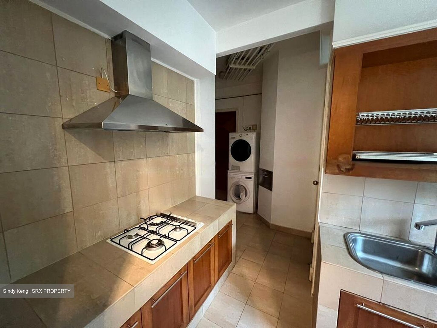 Gardenville (D10), Condominium #577119111